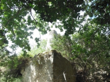 Photos