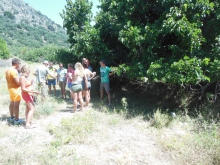 Photos